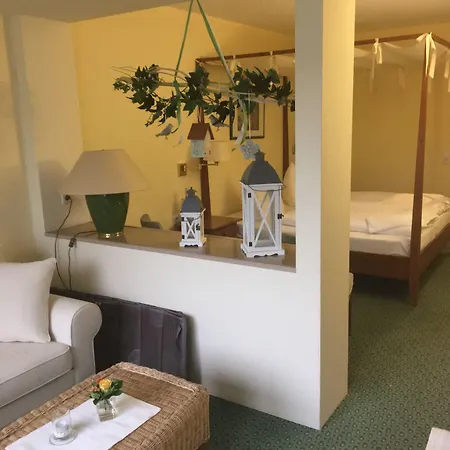 Hotel Romantik Parkhotel Am Hammerberg 4*
