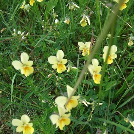 Parkhotel Hammerberg 4*