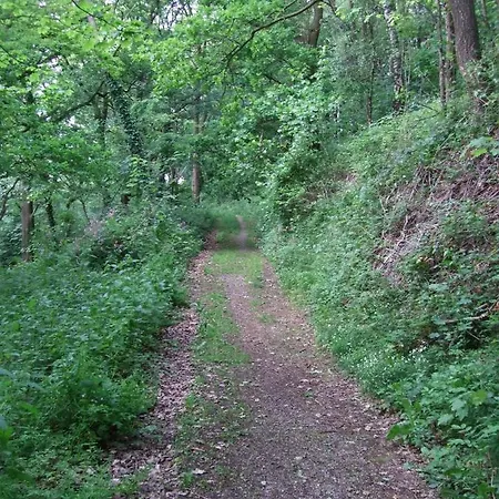 Parkhotel Hammerberg 4* ستولبرغ