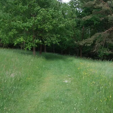 Parkhotel Hammerberg Hotel 4*