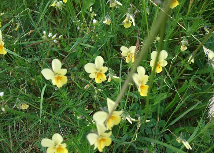 Parkhotel Hammerberg 4*