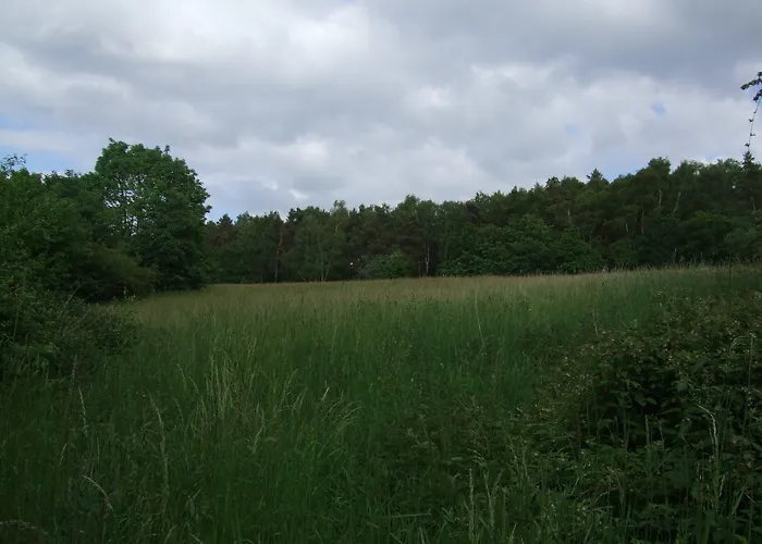 Hotel Parkhotel Hammerberg Stolberg (Rhineland)