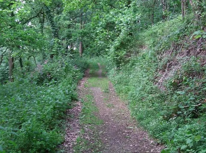 Parkhotel Hammerberg 4* Stolberg (Rhineland)