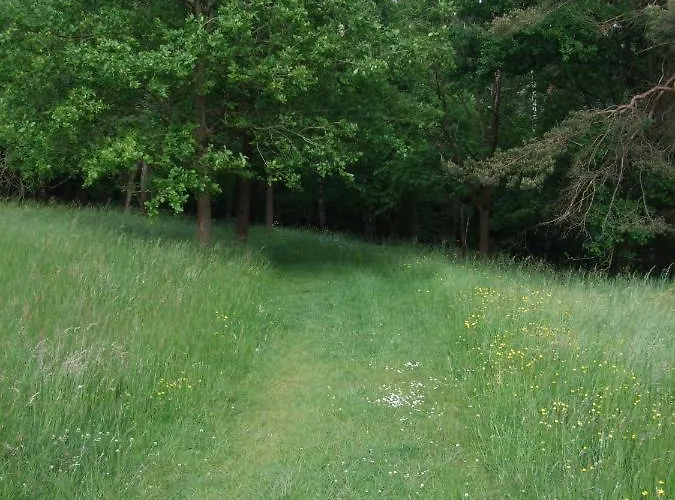 Parkhotel Hammerberg Hotel 4*