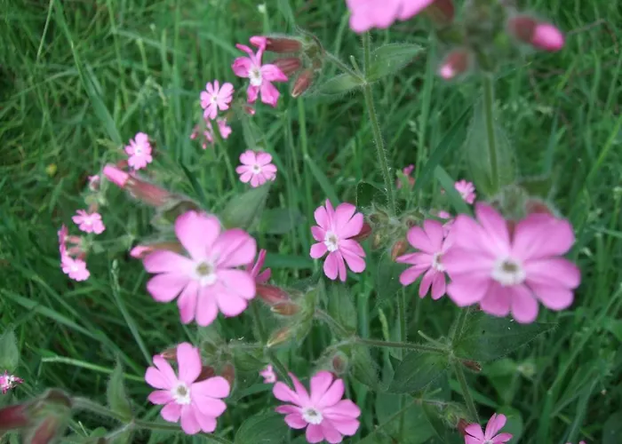 Parkhotel Hammerberg Hotel 4*